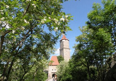 View from the South