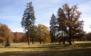 Zámecký park v Červeném Dvoře